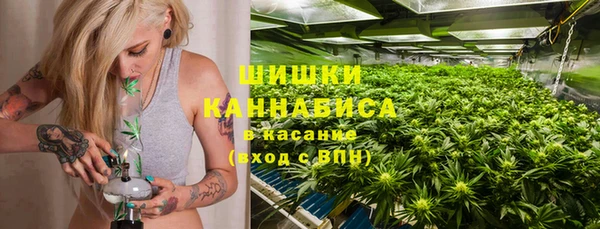 ECSTASY Новозыбков