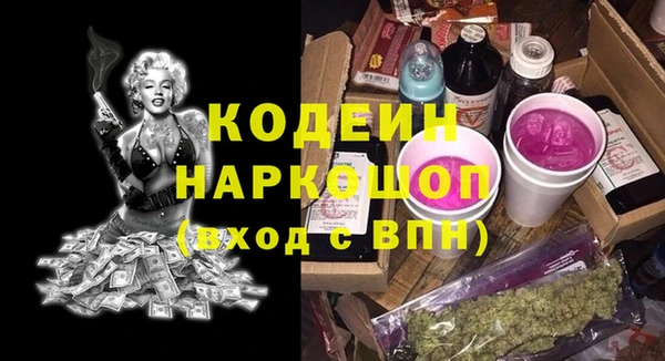 молекула духа Новодвинск
