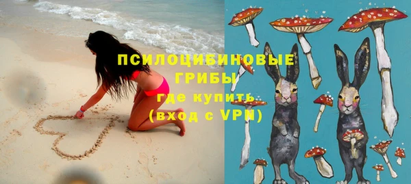молекула духа Новодвинск