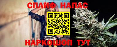 спиды Будённовск