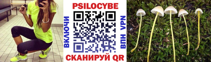 KRAKEN зеркало  Изобильный  Галлюциногенные грибы прущие грибы 
