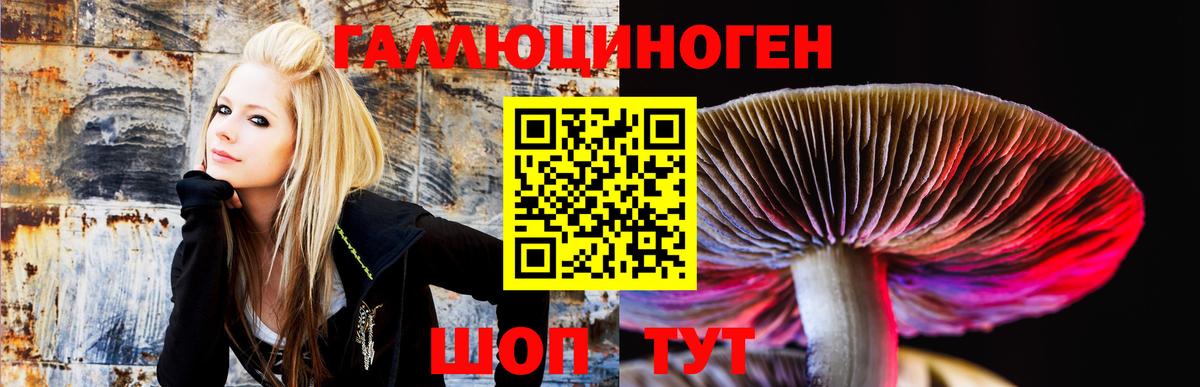 Псилоцибиновые грибы ЛСД Изобильный